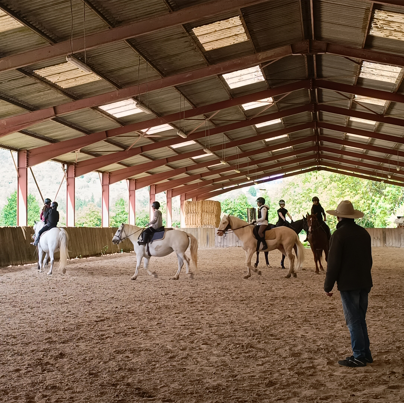 Photo de cour chevaux